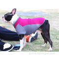 Dog Clothes Dog Elastic Polo Shirt Pet Absorbent Sweater Supplier